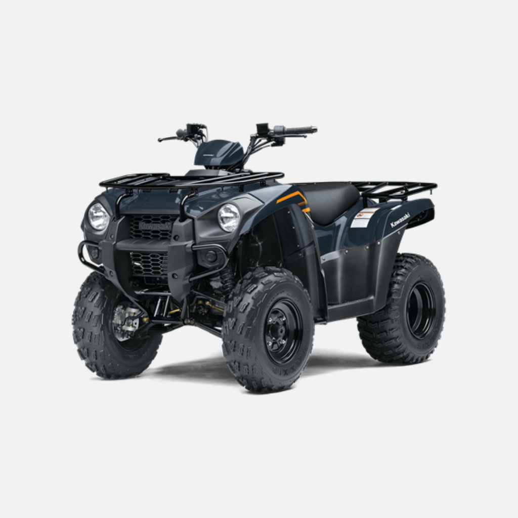 2024 Kawasaki Brute Force 300